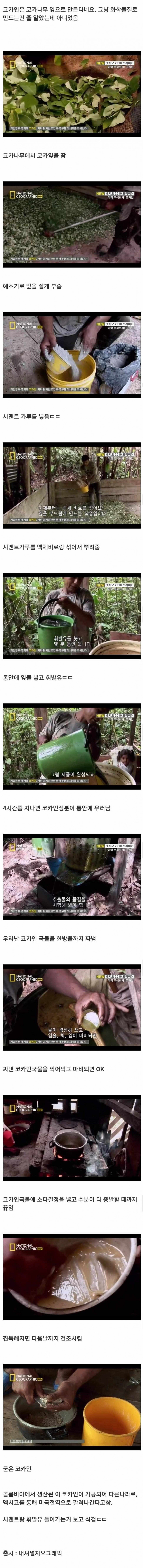 코카나무 잎으로 코카인 만드는 과정