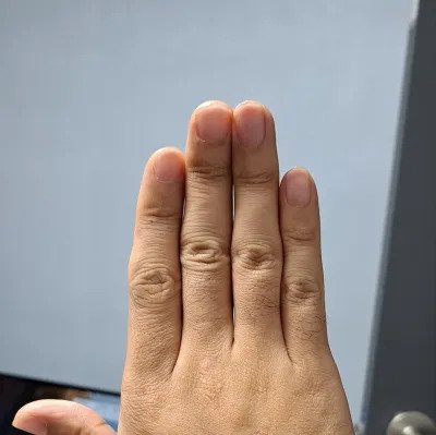 음경 길이에 대한 속설이 아닌 과학적 근거