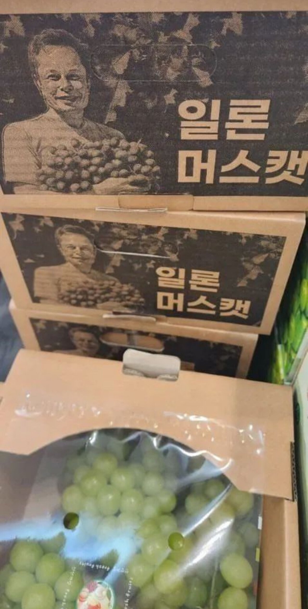 일론머스크 포도장사함?????!!!!!
