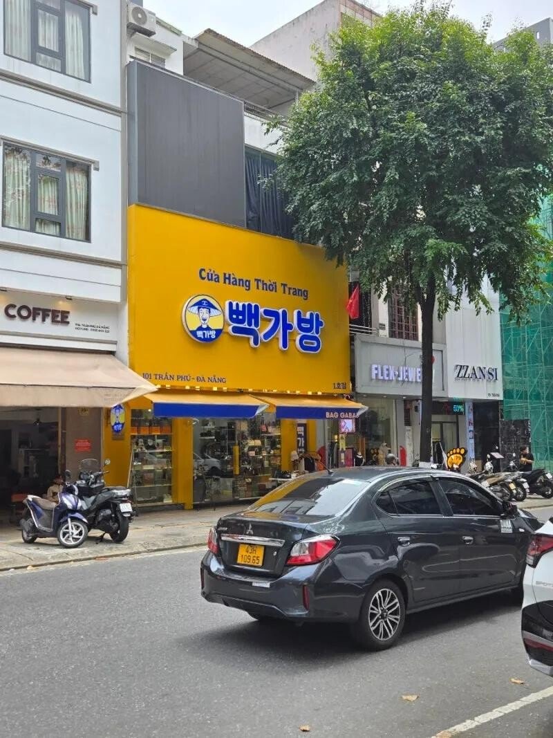 경기도 다낭시 근황
