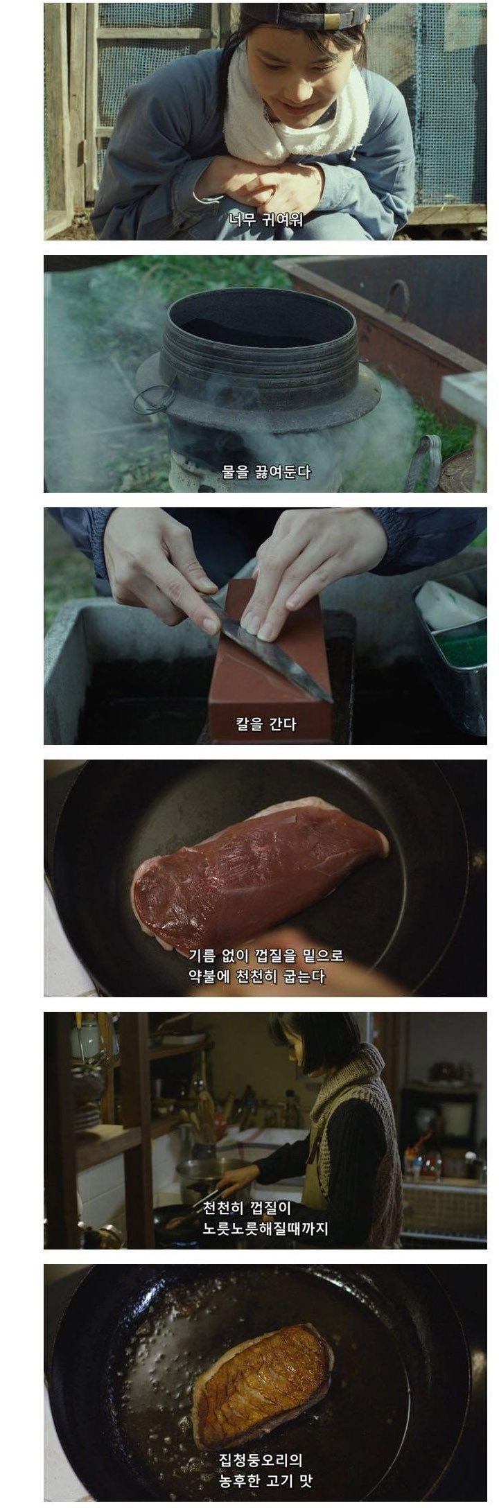 오리 농법으로 농사짓는 일본눈나