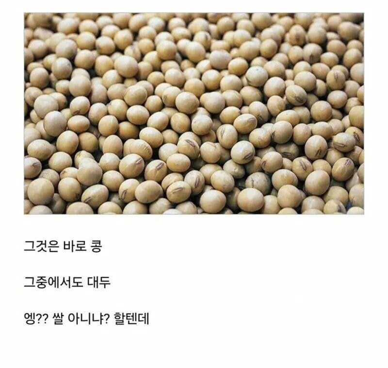 반박할 수 없는 동아시아 최고의 식재료