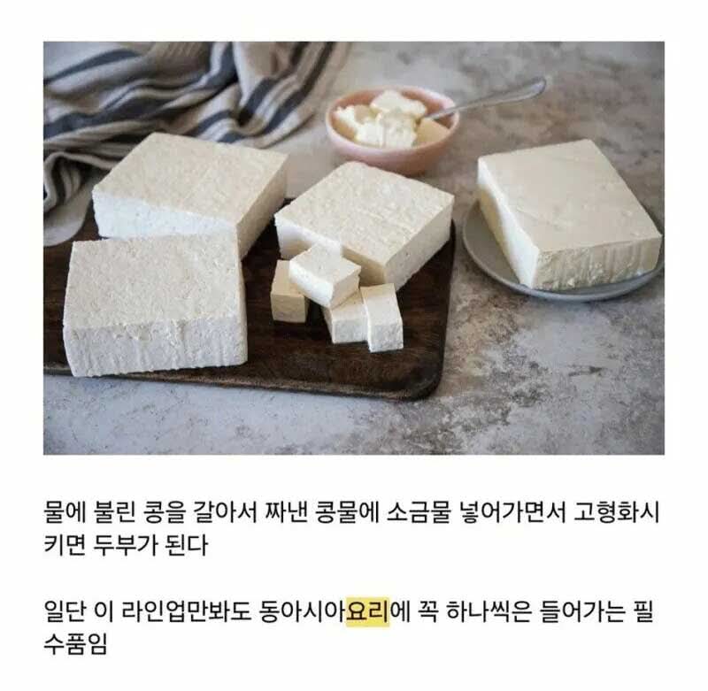 반박할 수 없는 동아시아 최고의 식재료