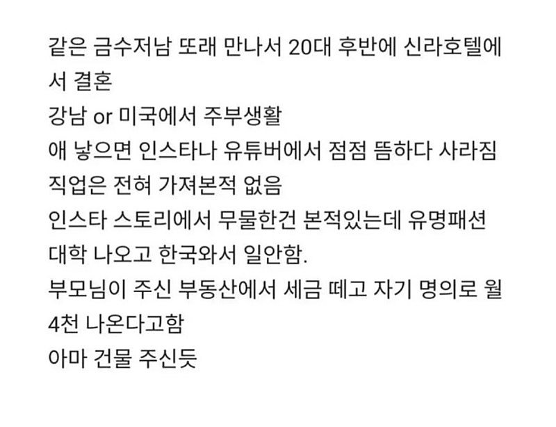 인스타나 유튜브 브이로그하는 금수저 여자 특징
