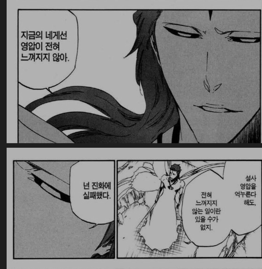 블리치 차드의 강함 묘사 요약