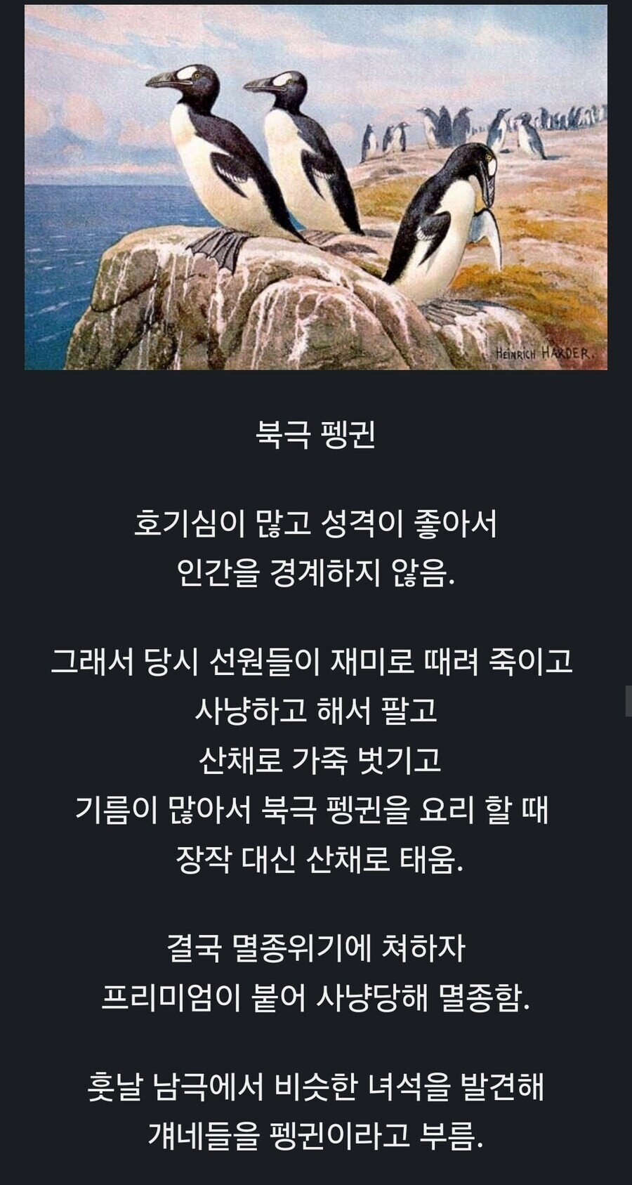 의외로 북극에 살았던 동물