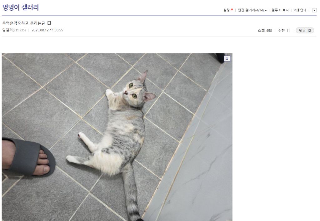 실시간 논란중인 멍갤러