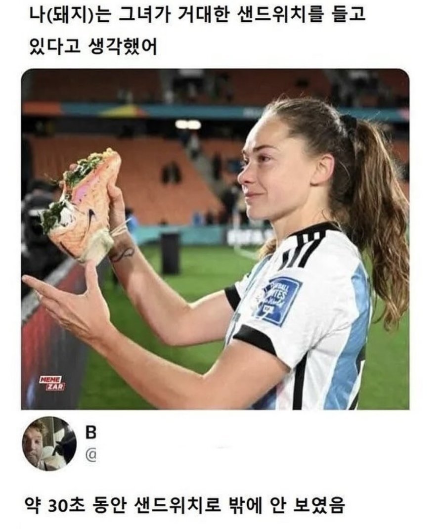 새로운 착시짤