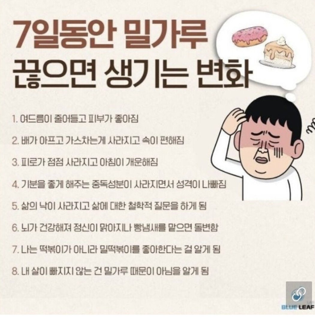 7일동안 밀가루를 끊으면 생기는변화