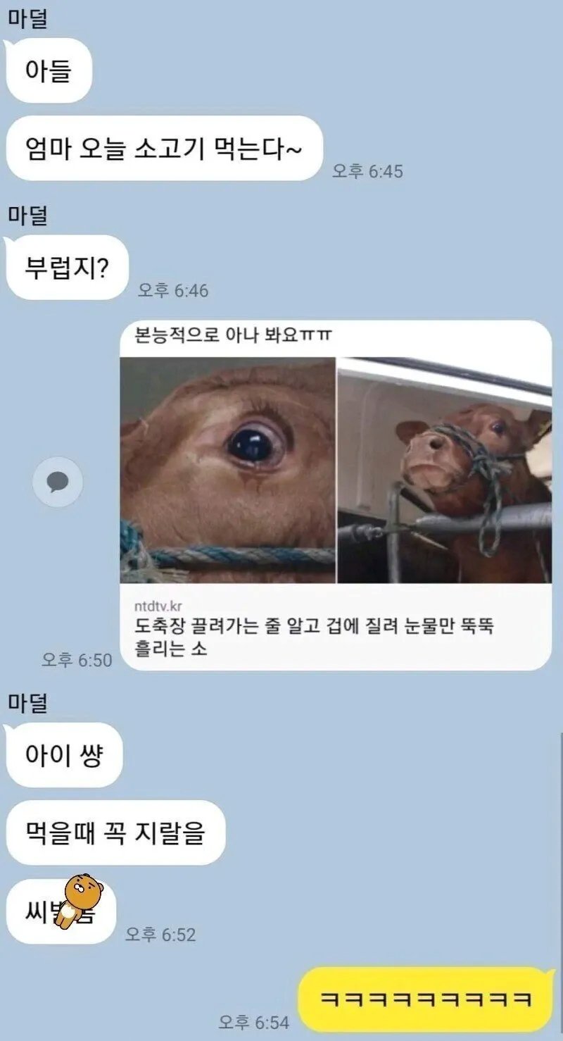 금쪽이 아들과의 카톡