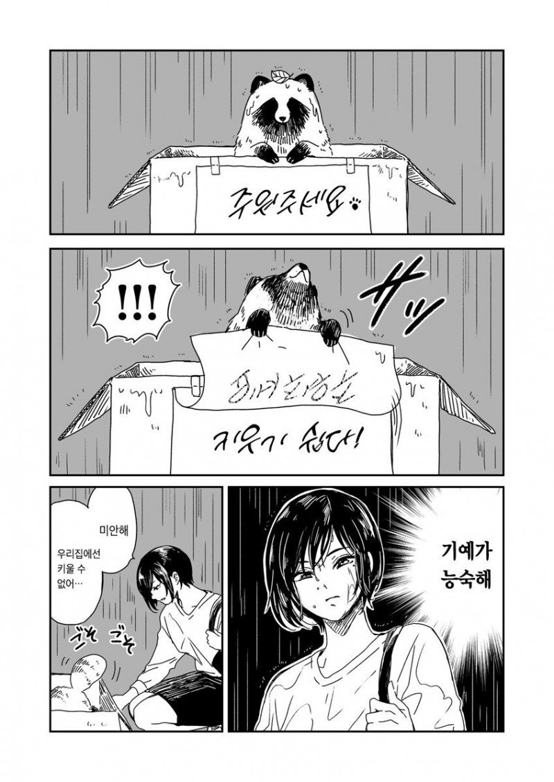 비 오는 날 개를 주은 여자.manhwa