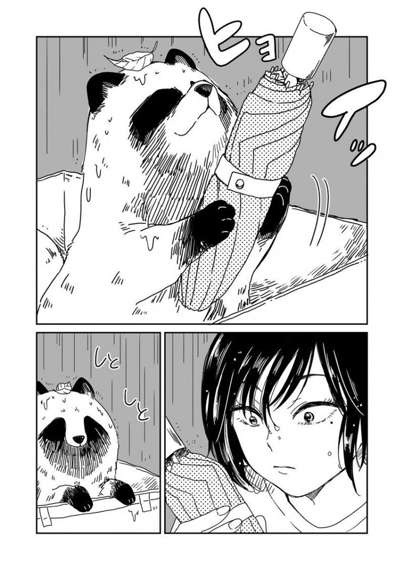 비 오는 날 개를 주은 여자.manhwa