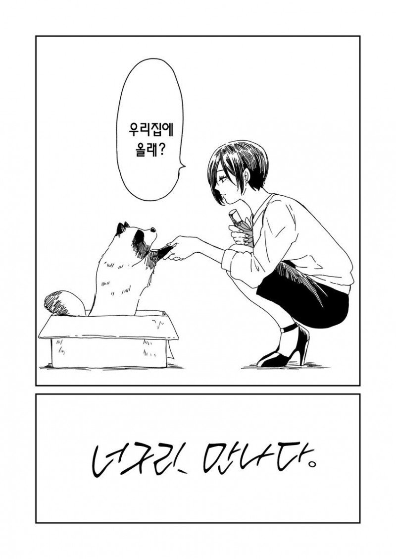 비 오는 날 개를 주은 여자.manhwa