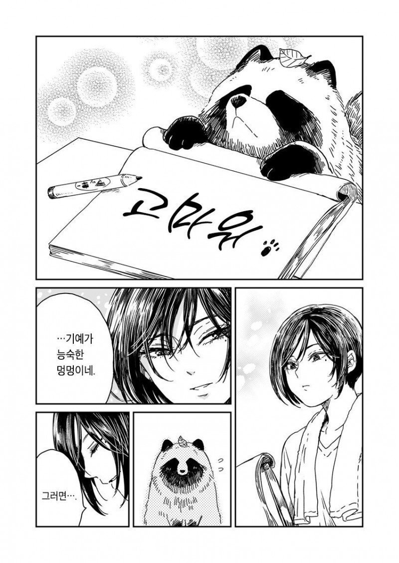 비 오는 날 개를 주은 여자.manhwa