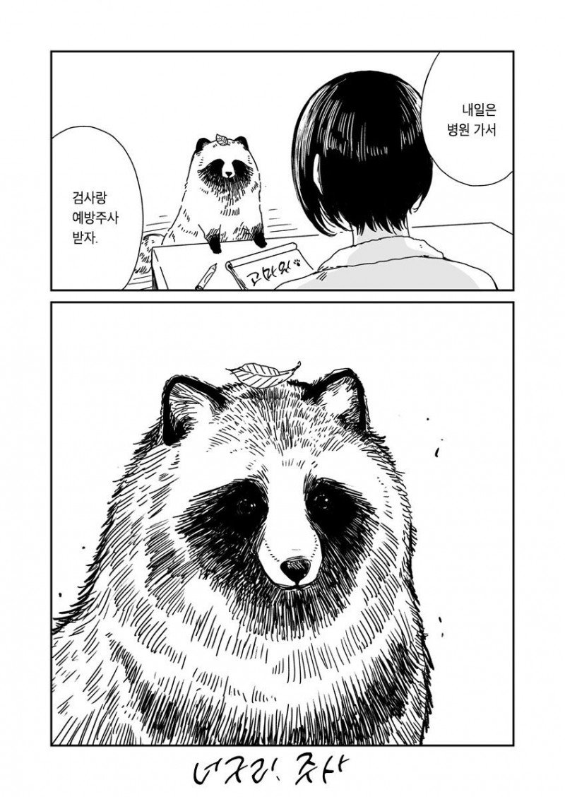 비 오는 날 개를 주은 여자.manhwa