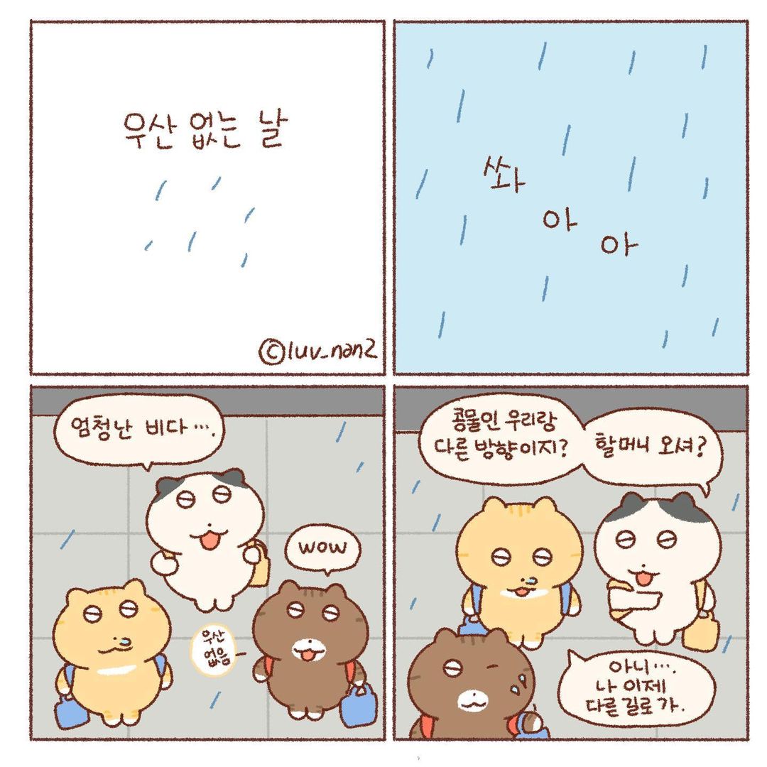 콩물이의 우산 없는 날