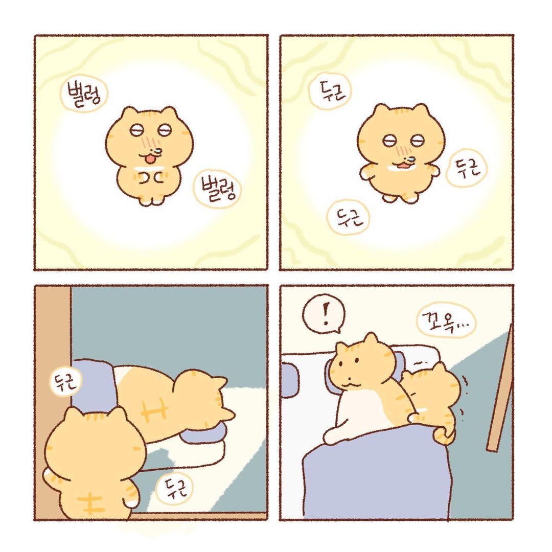 콩물이의 우산 없는 날