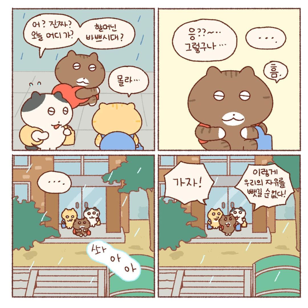 콩물이의 우산 없는 날