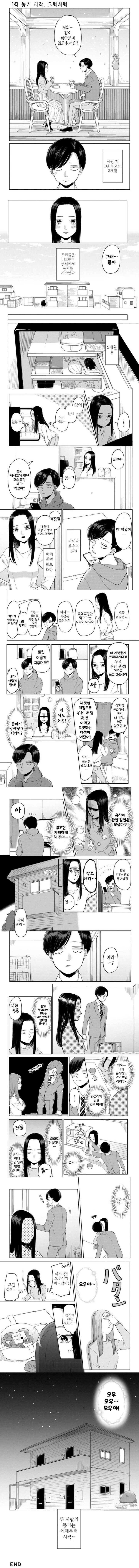 동거를 시작한 커플의 이야기