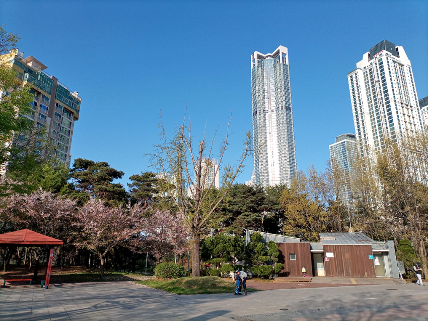 진짜 도시가 예쁘다는 인천 송도