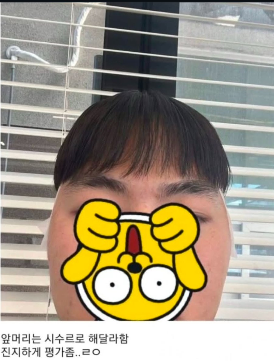 서면 유명 여디자이너한테 3.0주고 받은 댄디컷 ㅁㅌㅊ?