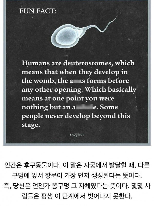 인간이 생성될때 가장 먼저 생성된다는 구멍