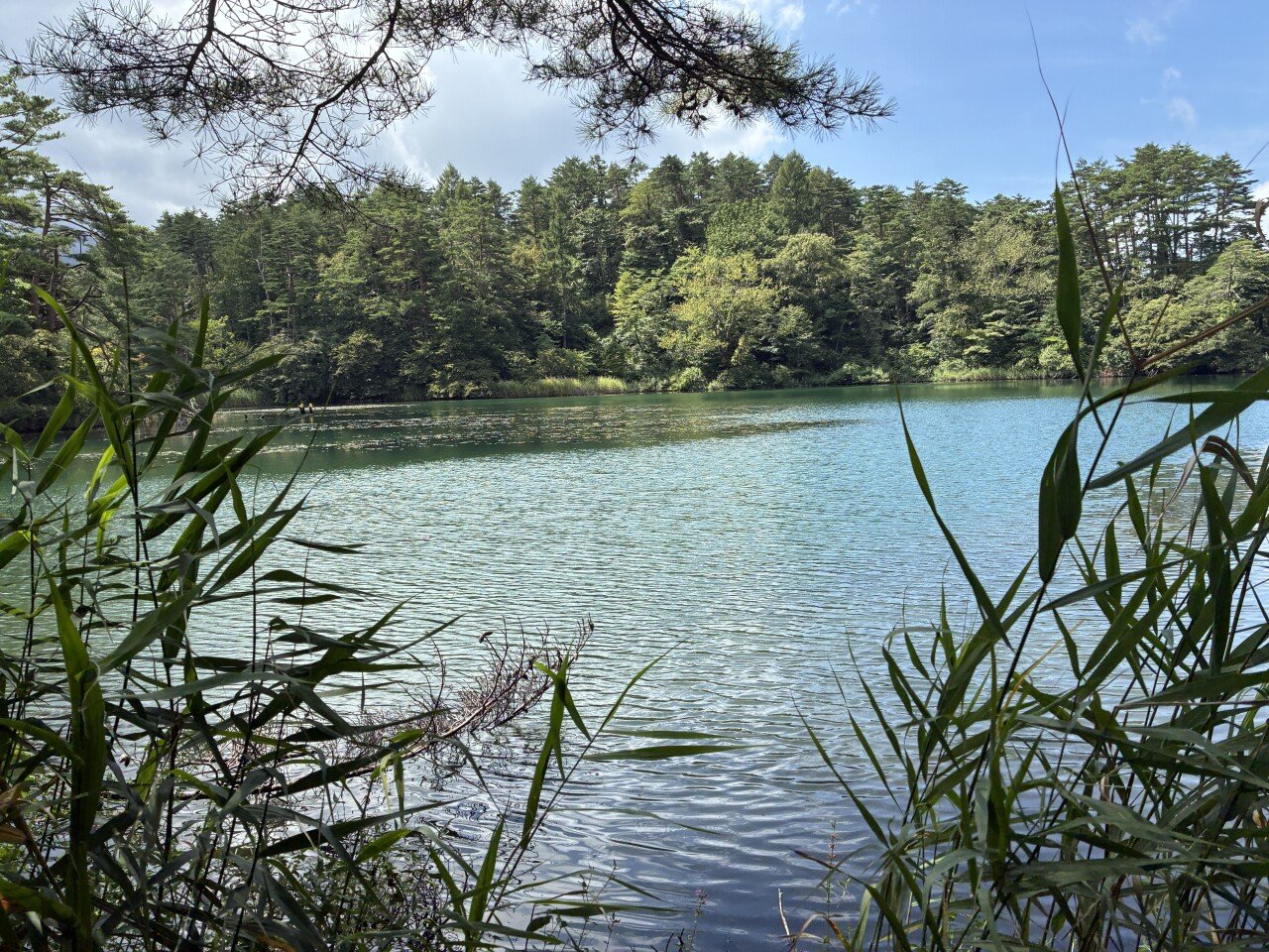 후쿠시마현 오색늪