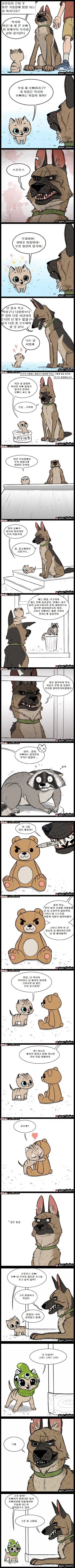 은퇴한 군견과 새끼고양이
