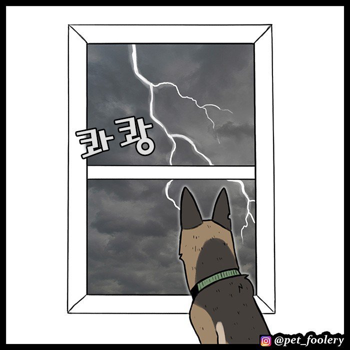 은퇴한 군견과 새끼고양이
