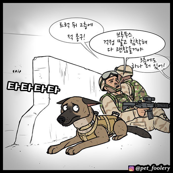 은퇴한 군견과 새끼고양이