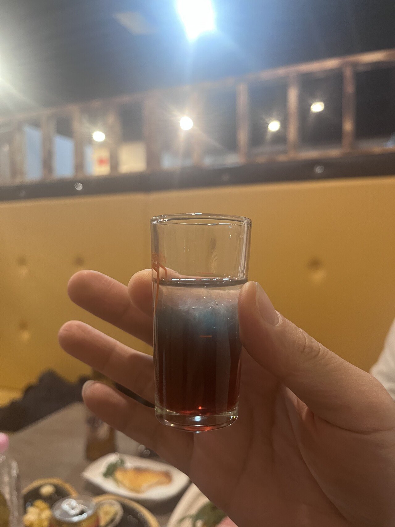 참치 좋아하세요???