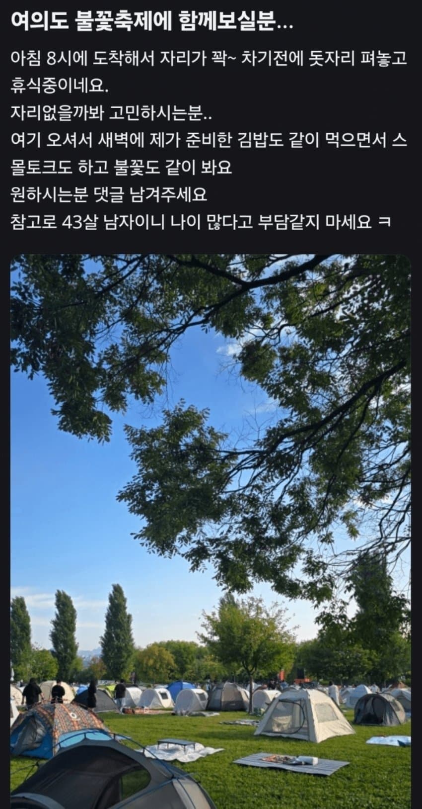 불꽃축제.. 영포티 신작 ㄷㄷㄷㄷㄷ