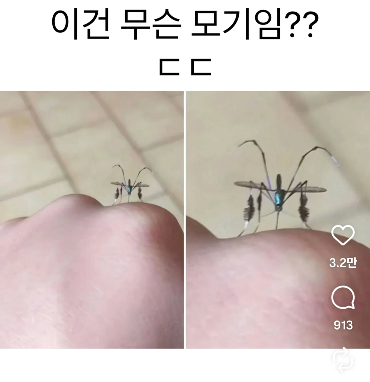 왠지 물리면 안 될거 같은 모기