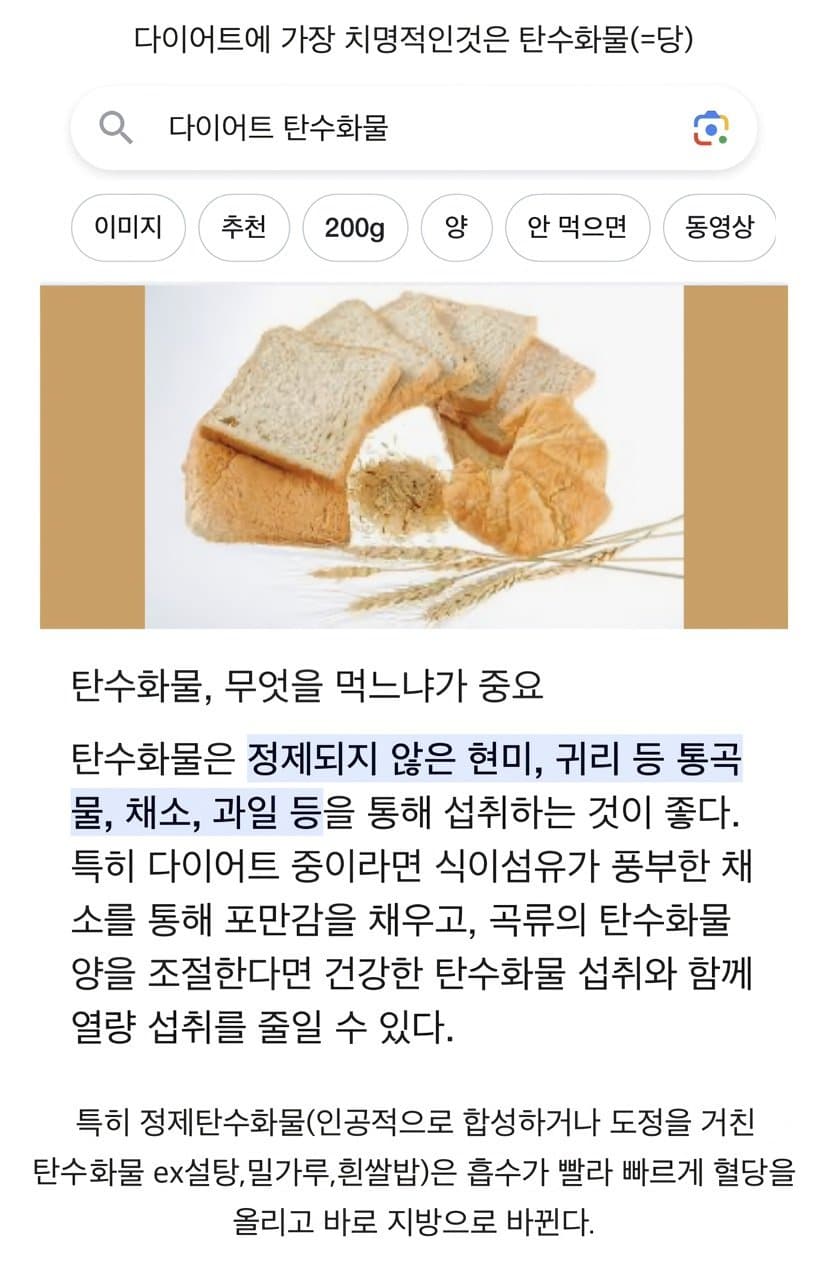 파스타가 다이어트에 도움이 되는 이유
