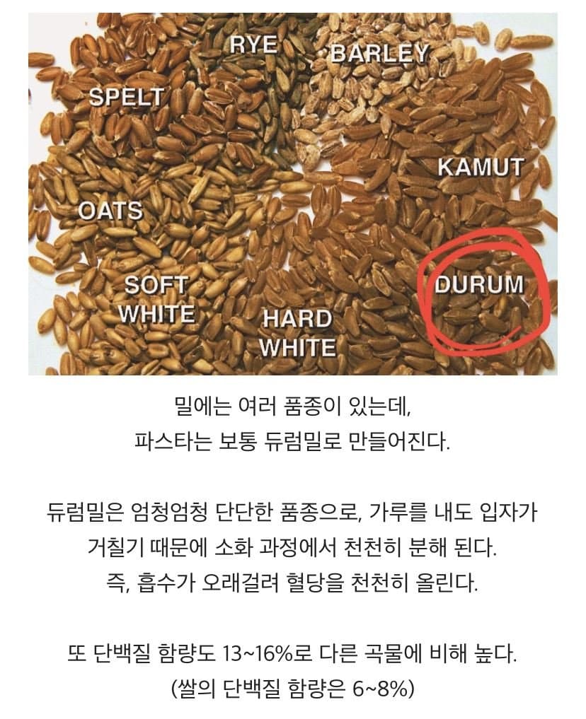 파스타가 다이어트에 도움이 되는 이유