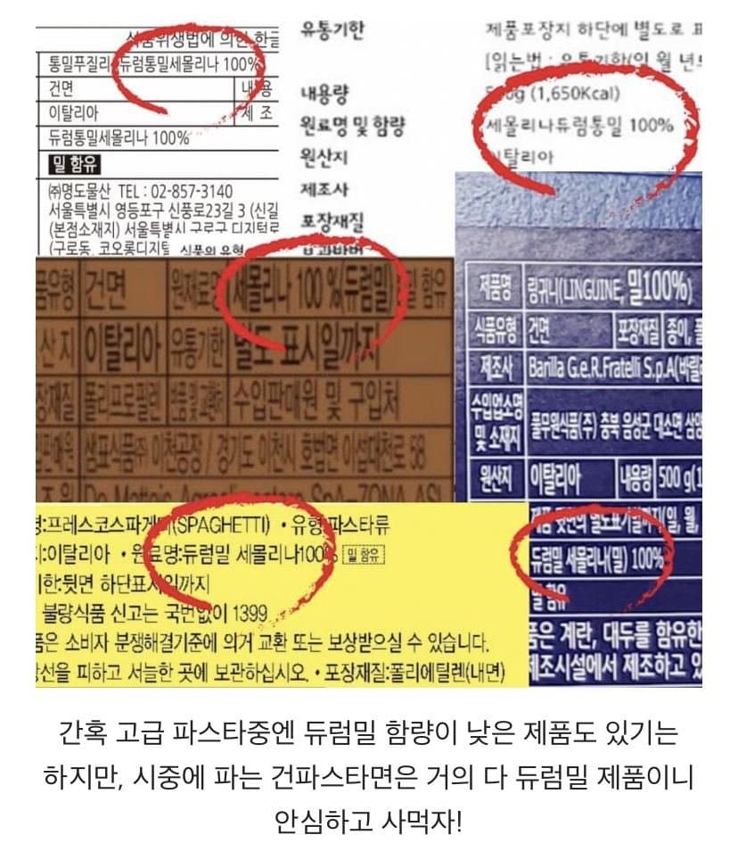 파스타가 다이어트에 도움이 되는 이유