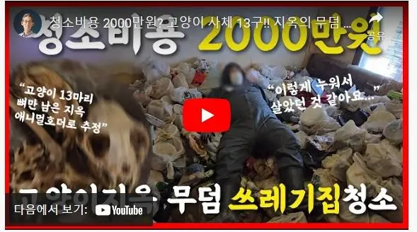 청소비만 2천만원 나온 역대급 집.jpg