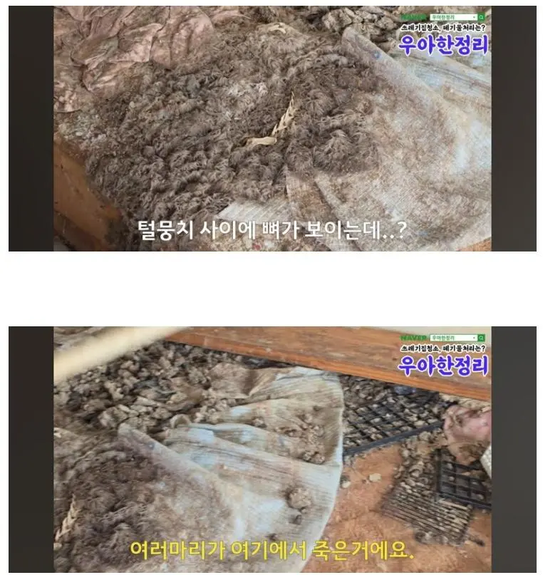 청소비만 2천만원 나온 역대급 집.jpg
