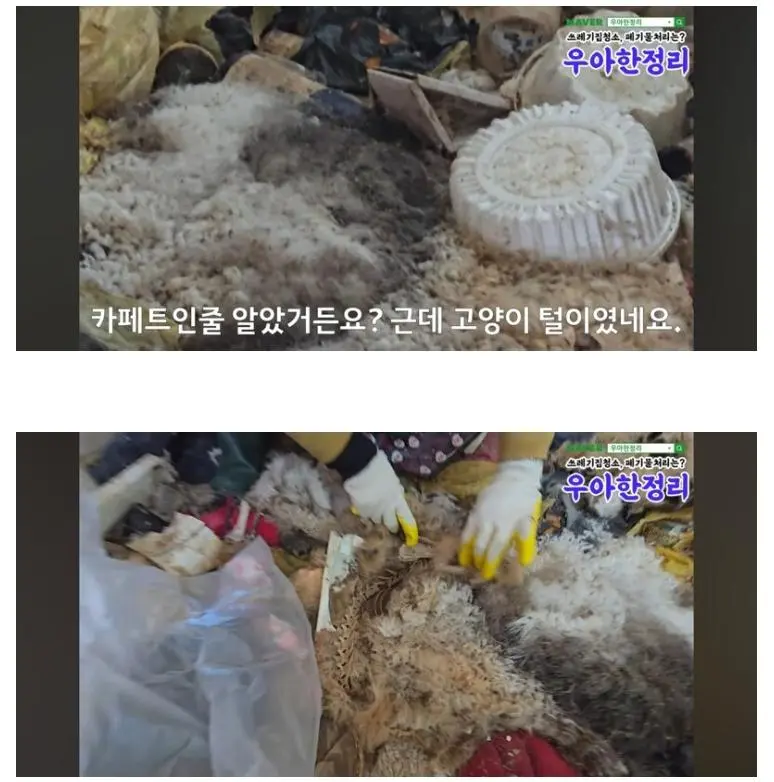 청소비만 2천만원 나온 역대급 집.jpg
