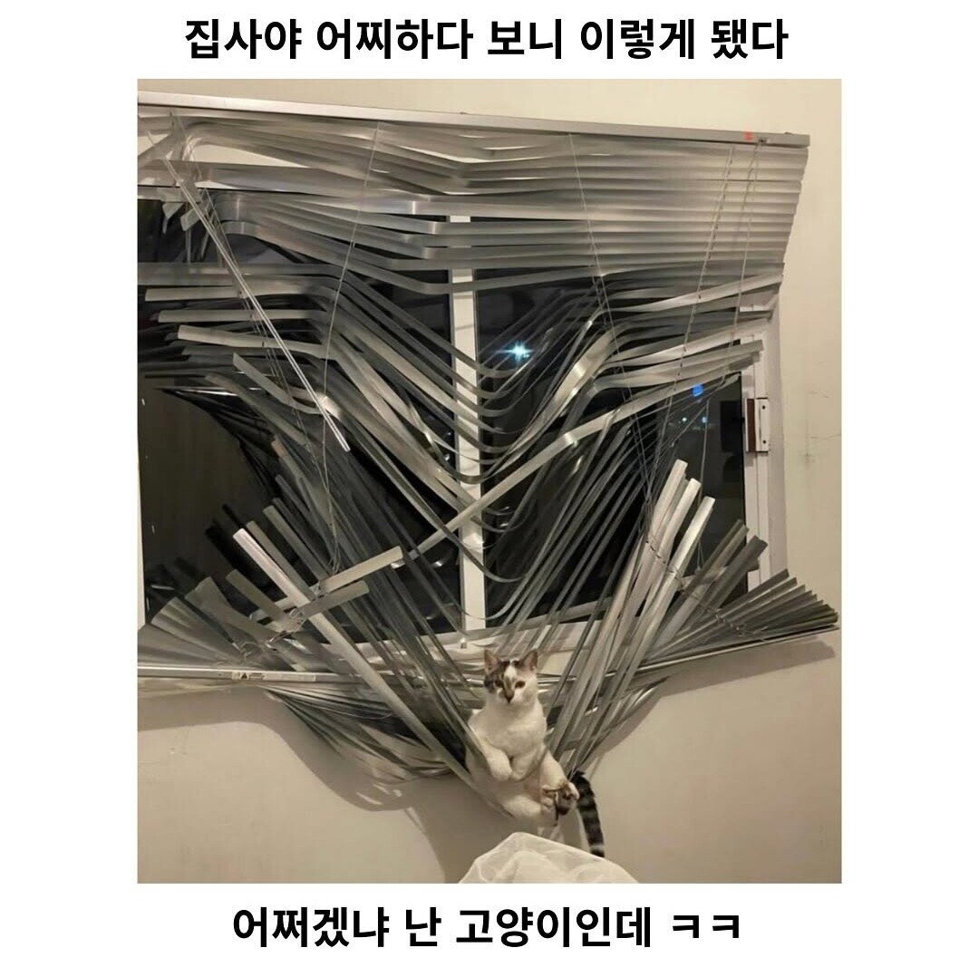 집사야, 일이 뭐 그렇게 됐다.
