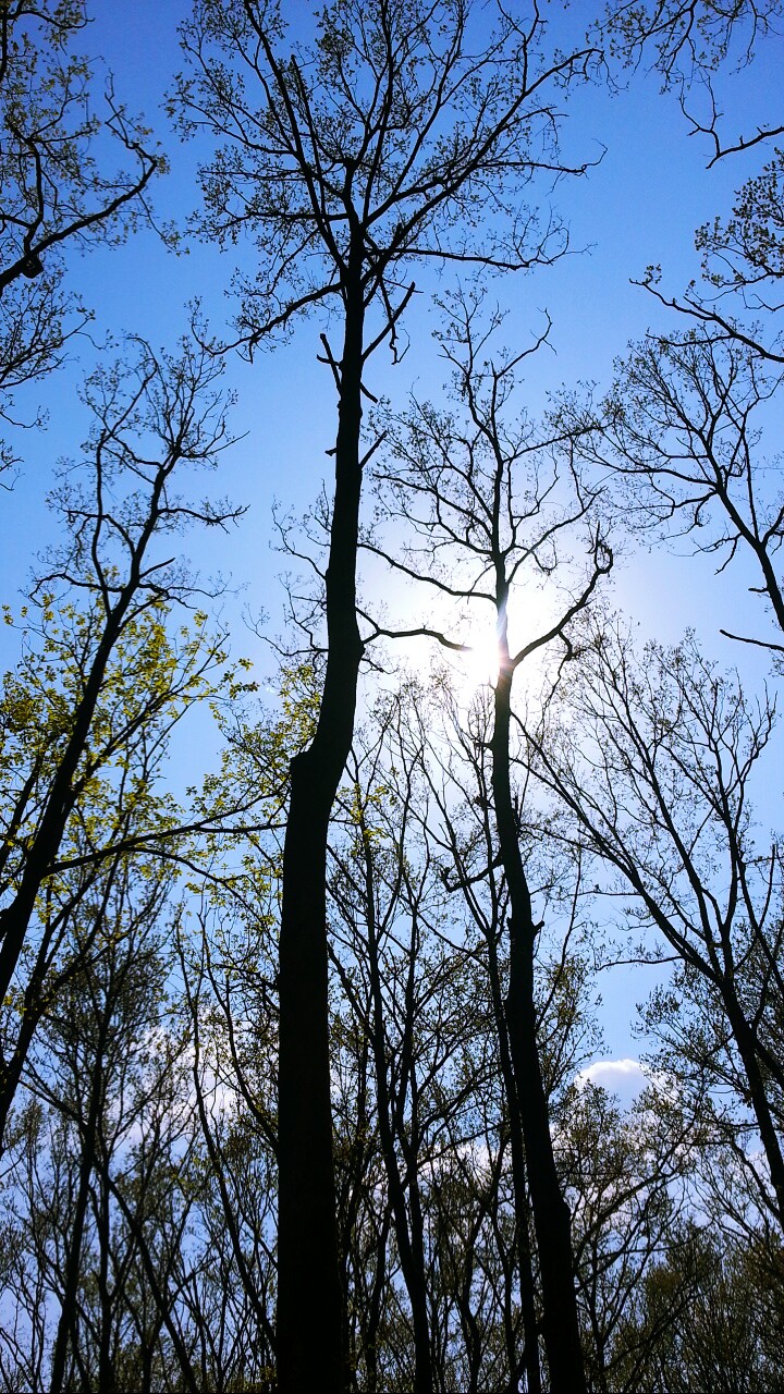 날씨 좋다