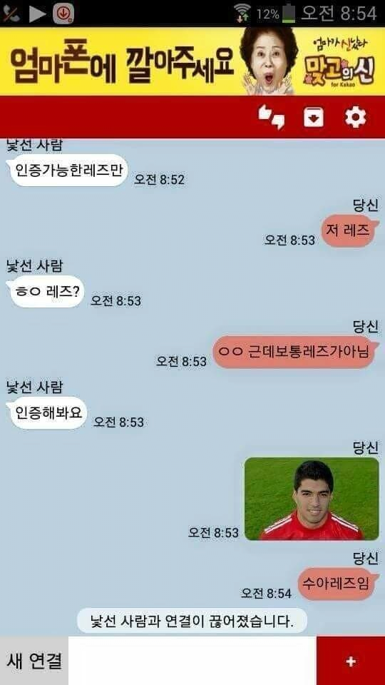 보통 레즈가 아님