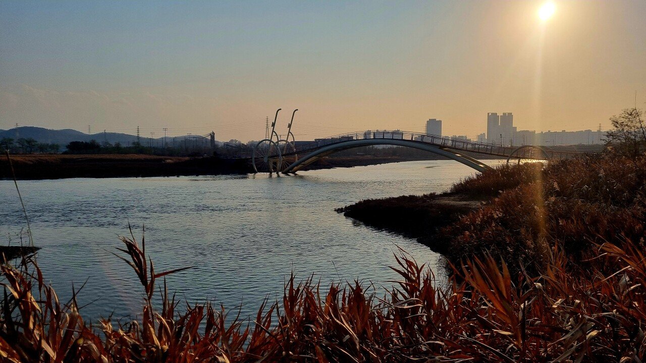 오늘의 점심 및 산책