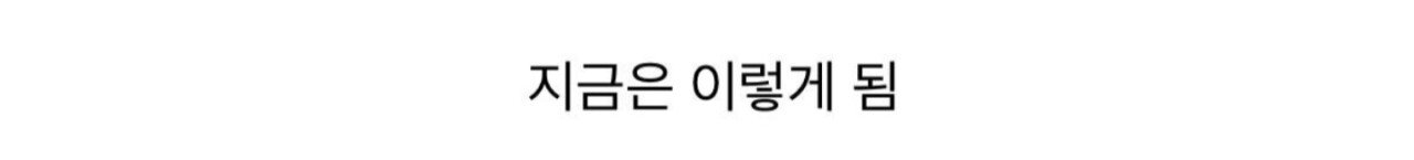 나무 한그루를 위해 광장 만들고 주차장도 만들고 길도 닦은 원주
