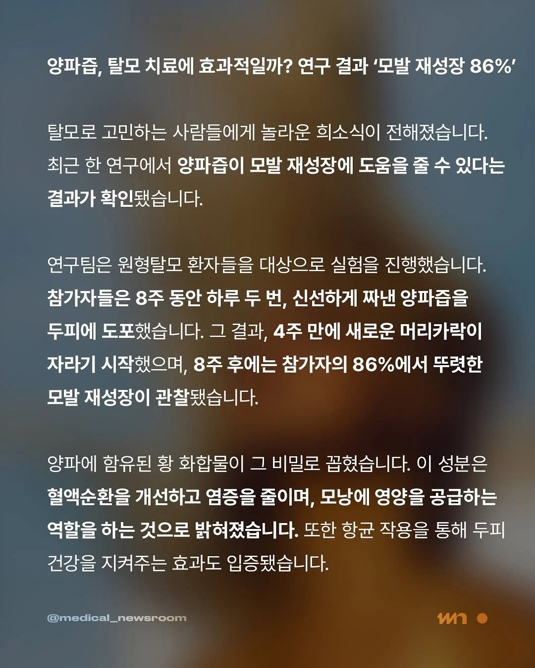 양파즙의 효능 탈모에 탁월
