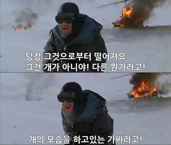 그건 개가 아니야 멍청이들아 개의 모습을한 무언가라구