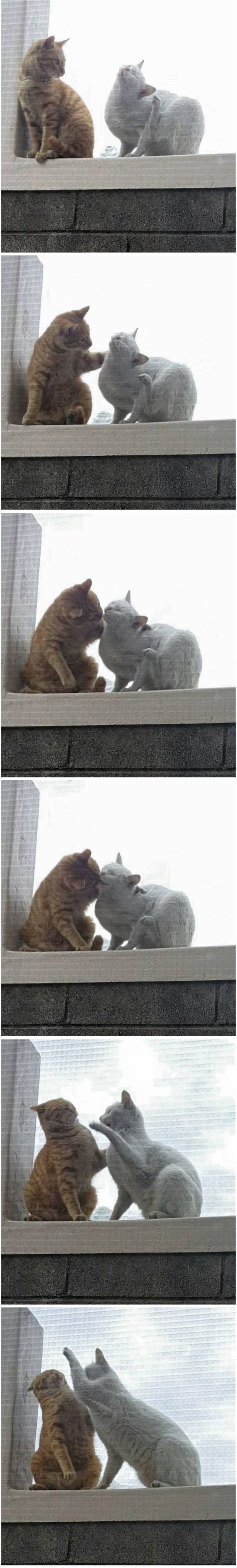 아내가 예뻐보여 뽀뽀 했더니...
