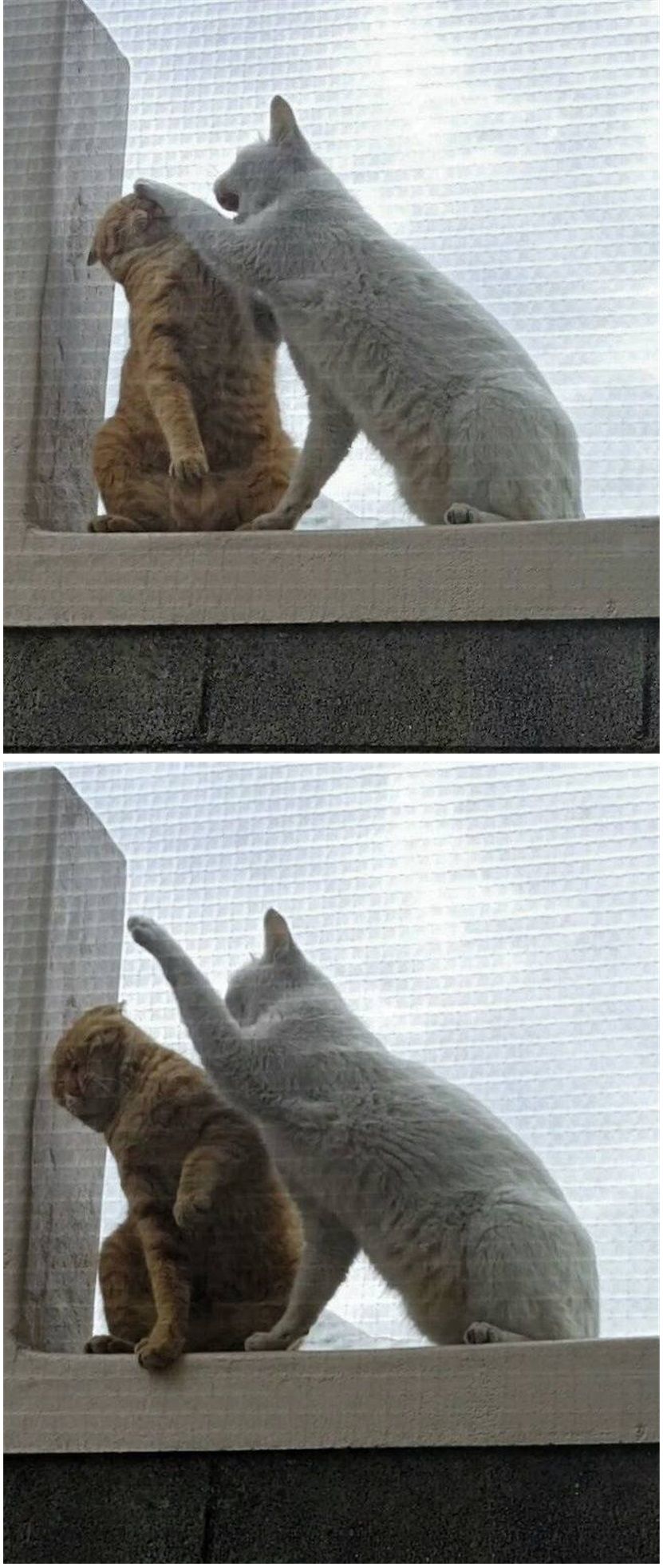 아내가 예뻐보여 뽀뽀 했더니...