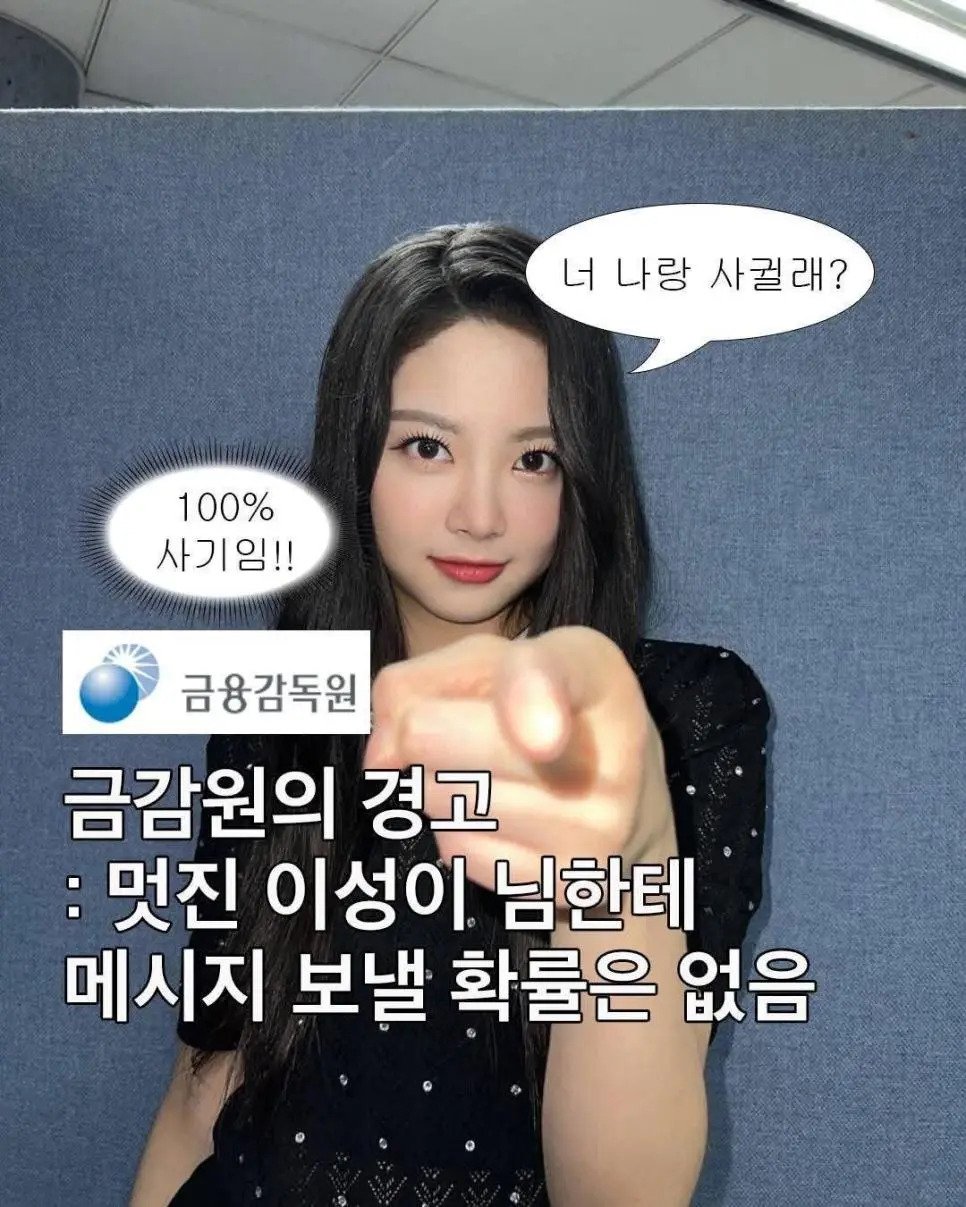 금감원 오피셜 경고문 ㅋㅋ