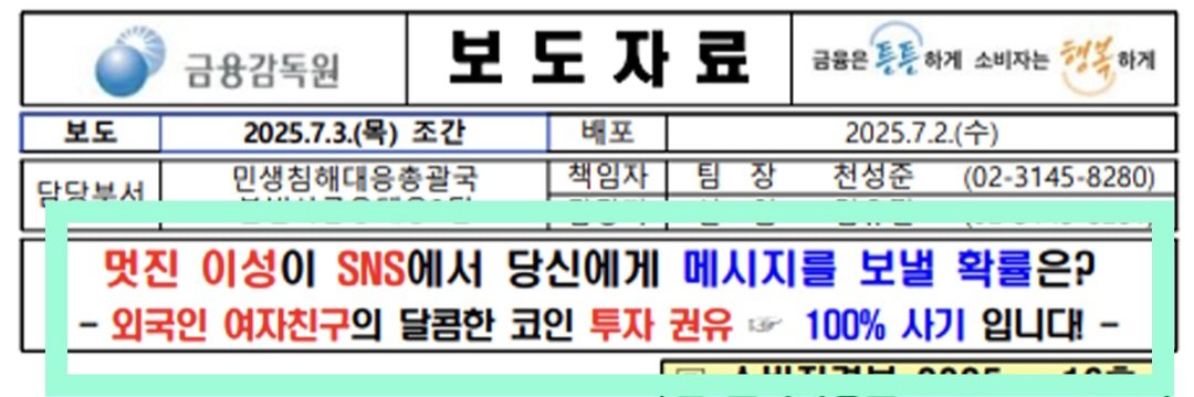 금감원 오피셜 경고문 ㅋㅋ